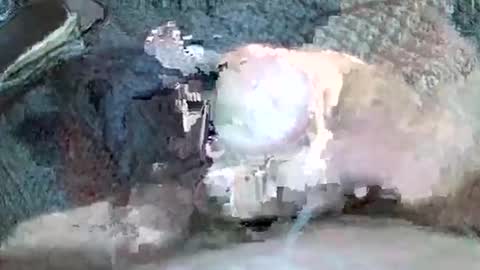 mexianthehawk online show from November 2025 11:22:02 AM