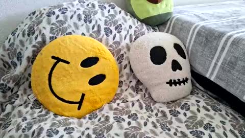 mexidaddycan online show from December 2025 06:58:02 PM