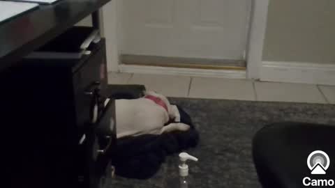 Snapshot of mg13999 chatting on January 2025 08:39:01 PM Mg13999 online show from January 2025 08:39:01 PM