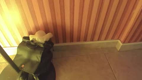 mia__blaze_ online show from February 2026 03:00:02 AM