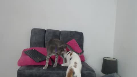 M I A online show from November 2025 11:20:02 AM