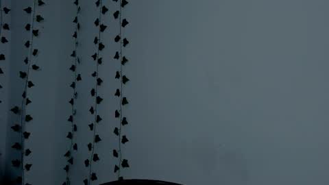 MIA online show from September 2025 09:18:01 PM