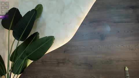 mia_lacy online show from January 2025 01:55:01 AM