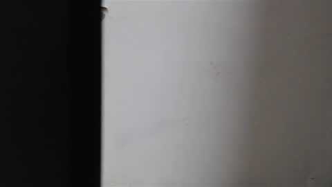 Mia Sepulveda online show from January 2025 04:02:02 AM