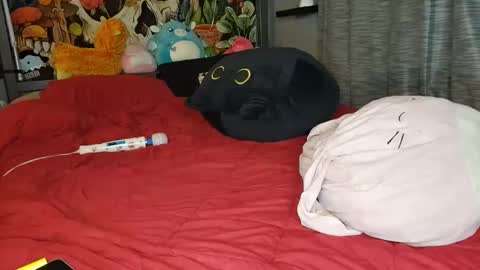 Mia Love online show from January 2025 11:11:01 AM