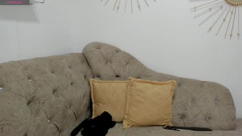 Snapshot of miah_bigboobs chatting on February 2025 05:07:02 PM Miah Collins online show from February 2025 05:07:02 PM