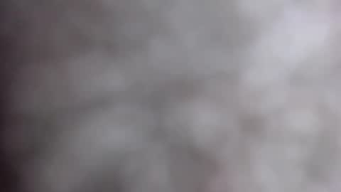 MiahLove31 online show from October 2025 04:59:02 AM