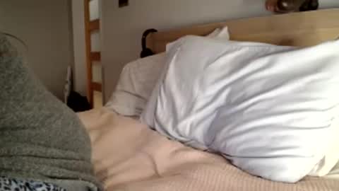 Snapshot of miamuffin8 chatting on December 2024 12:44:02 AM MiaMuffn online show from December 2024 12:44:02 AM