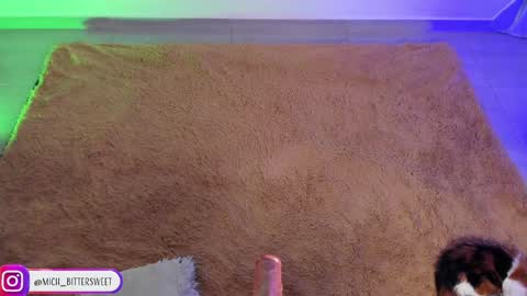 Snapshot of mich_bittersweet chatting on January 2025 10:11:02 PM online show from January 2025 10:11:02 PM