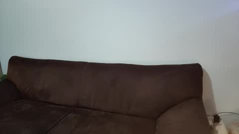 Snapshot of michael666c chatting on October 2025 08:42:01 PM michael666c online show from October 2025 08:42:01 PM