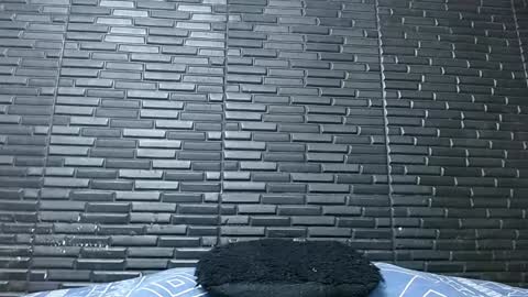 Michael Daviss online show from February 2025 12:47:01 PM