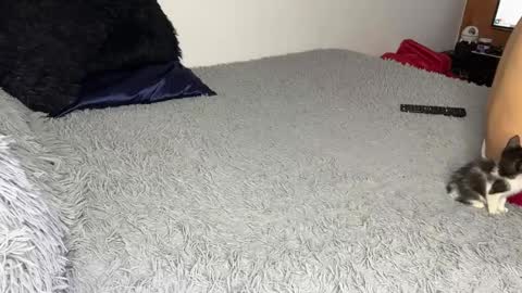 Snapshot of michellepetitte chatting on March 2026 07:13:02 AM michellepetitte online show from March 2026 07:13:02 AM