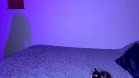 Snapshot of michellepetitte chatting on April 2026 01:58:01 AM michellepetitte online show from April 2026 01:58:01 AM