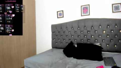 michellmorgans online show from March 2026 11:15:02 AM