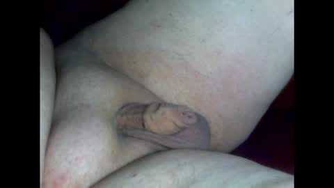 micropimmel online show from February 2026 06:59:02 PM