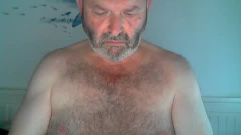 Snapshot of midhir chatting on June 2026 12:44:02 PM kike online show from June 2026 12:44:02 PM