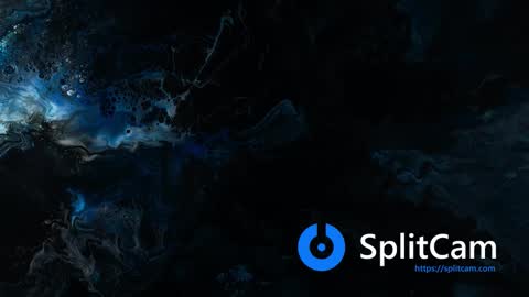 MIA online show from February 2025 11:52:01 AM