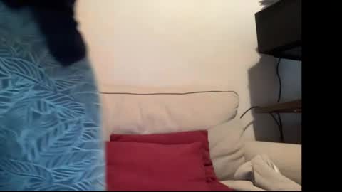 MIke online show from May 2026 10:54:02 AM
