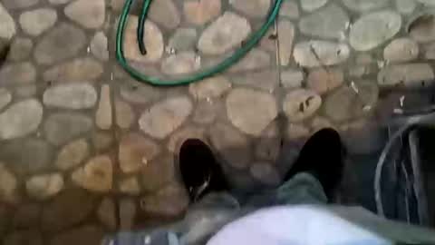 miky17cm online show from January 2026 04:04:02 AM