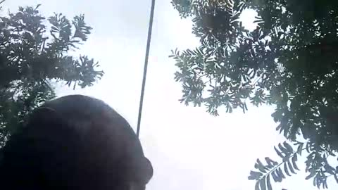 miky17cm online show from January 2026 07:41:01 PM