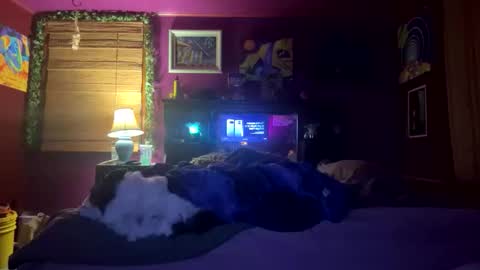 mil8207 online show from December 2025 05:57:01 AM