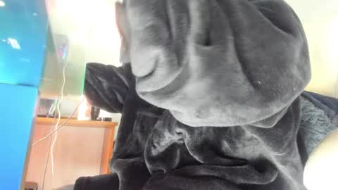 Mila Dash online show from September 2025 10:51:01 AM