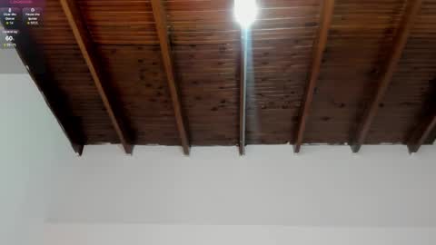 Snapshot of milarose4 chatting on January 2025 12:28:02 PM Mila Rose online show from January 2025 12:28:02 PM