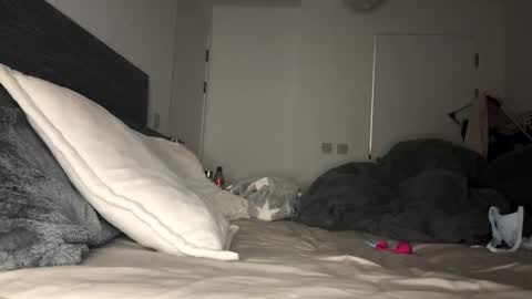 Snapshot of mimi_monroe1 chatting on November 2025 07:01:02 PM Mimi Monroe online show from November 2025 07:01:02 PM