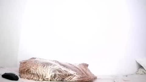 Snapshot of mina_smithx chatting on March 2026 03:39:01 PM mina smith online show from March 2026 03:39:01 PM