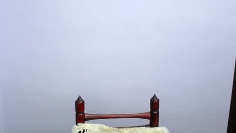 Snapshot of minato_kabuki chatting on December 2024 11:25:01 PM MINATO online show from December 2024 11:25:01 PM