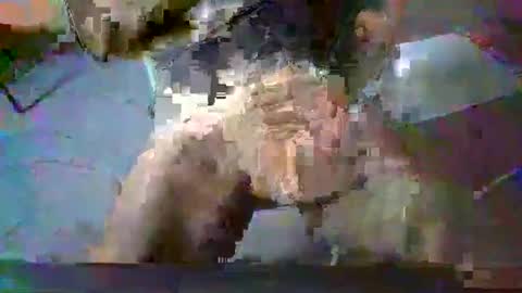 minoas31 online show from December 2024 08:09:01 AM