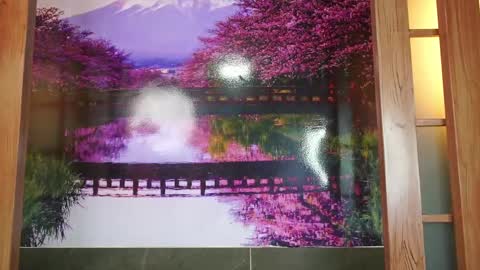 Charlotte online show from September 2025 06:20:01 PM