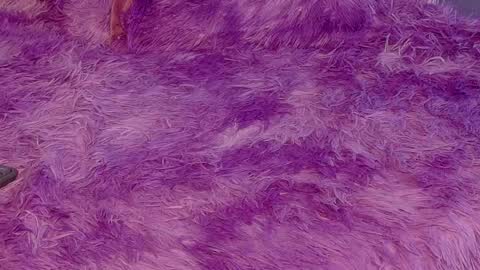 miss__jones_ online show from April 2026 04:52:01 PM