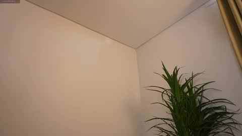 miss airi online show from March 2026 03:03:02 PM