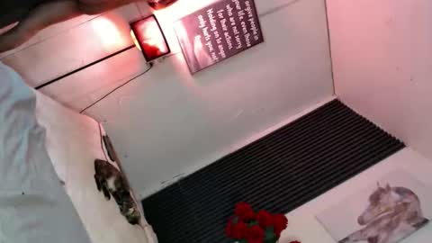 Snapshot of miss_bella69 chatting on November 2025 12:10:01 AM miss_bella69 online show from November 2025 12:10:01 AM