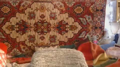 Elis online show from November 2025 01:21:02 PM