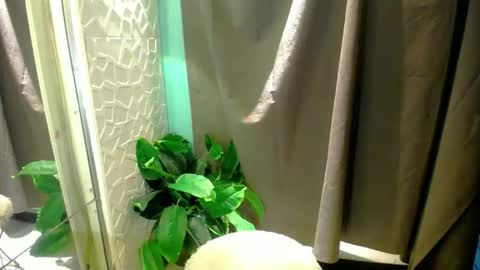 Snapshot of miss_moheera_xxx chatting on May 2026 02:17:02 AM Moheera online show from May 2026 02:17:02 AM