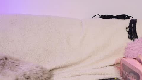 Snapshot of miss_sophia21 chatting on February 2026 02:51:02 AM miss_sophia21 online show from February 2026 02:51:02 AM