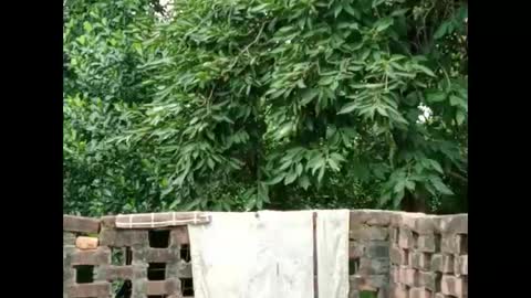 Zoya Khan online show from September 2025 04:35:02 AM