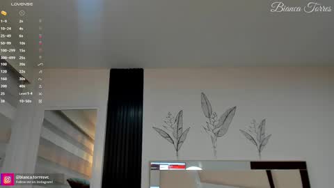 Snapshot of missbianca1 chatting on February 2025 11:20:01 PM Bianca Torres online show from February 2025 11:20:01 PM