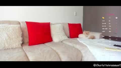 Charlotte independent model online show from July 2026 08:14:01 PM