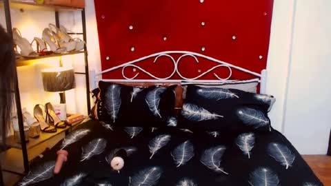 missdominantbigcockx online show from June 2026 11:53:01 AM