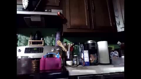 MissEeva online show from December 2024 06:46:01 AM