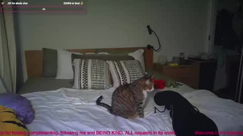 Snapshot of missemmbeex chatting on March 2026 08:59:02 PM missemmbeex online show from March 2026 08:59:02 PM