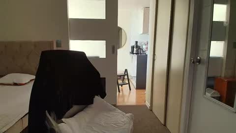 Anghy online show from April 2026 08:42:02 PM