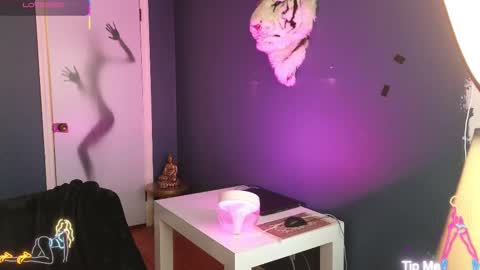 Mikey Jerkoff online show from January 2026 04:44:01 PM