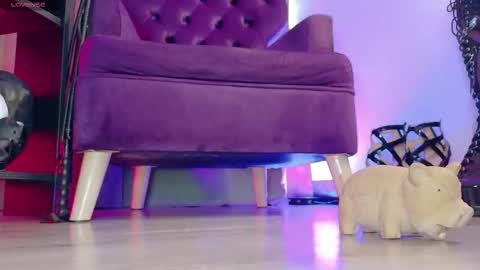 Jhadee online show from March 2026 11:02:01 PM