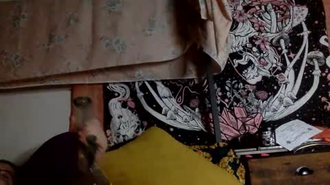 Snapshot of mistressmystii chatting on January 2025 06:28:02 AM Mistress Mystii online show from January 2025 06:28:02 AM