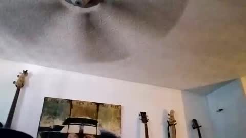 BobbyMitchGa online show from September 2025 06:18:01 PM