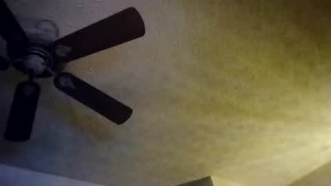 BobbyMitchGa online show from October 2025 08:13:01 AM